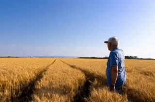 farmer